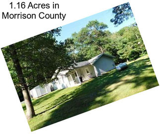 1.16 Acres in Morrison County