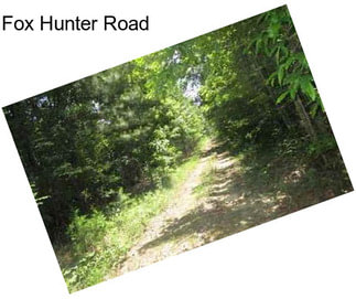 Fox Hunter Road