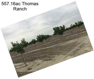 557.16ac Thomas Ranch