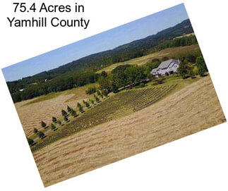 75.4 Acres in Yamhill County