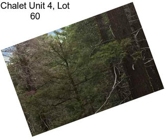 Chalet Unit 4, Lot 60