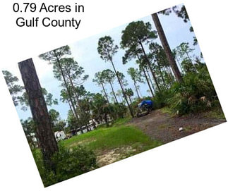 0.79 Acres in Gulf County