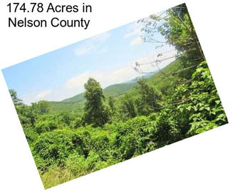 174.78 Acres in Nelson County