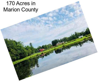 170 Acres in Marion County