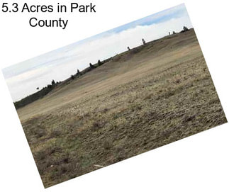 5.3 Acres in Park County