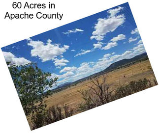 60 Acres in Apache County