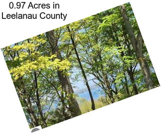 0.97 Acres in Leelanau County