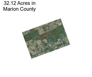 32.12 Acres in Marion County