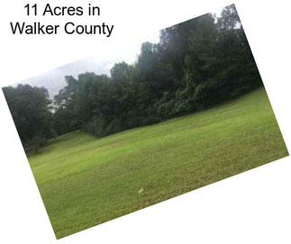 11 Acres in Walker County