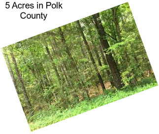 5 Acres in Polk County