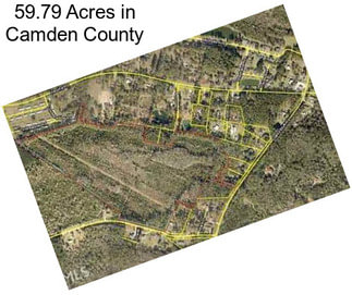 59.79 Acres in Camden County