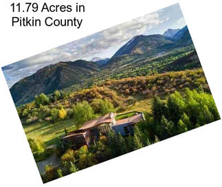 11.79 Acres in Pitkin County