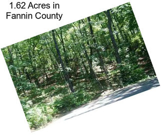 1.62 Acres in Fannin County