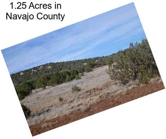 1.25 Acres in Navajo County