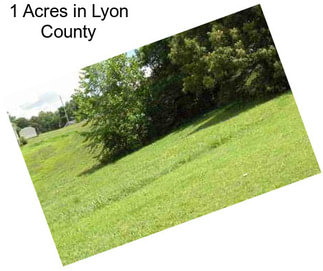 1 Acres in Lyon County