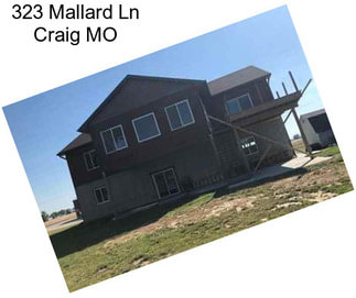 323 Mallard Ln Craig MO