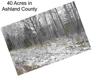 40 Acres in Ashland County