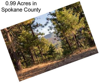 0.99 Acres in Spokane County