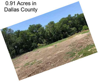 0.91 Acres in Dallas County