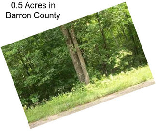 0.5 Acres in Barron County