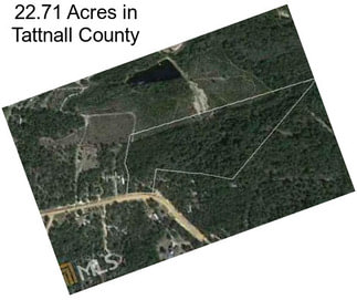 22.71 Acres in Tattnall County