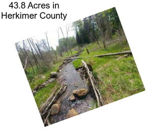 43.8 Acres in Herkimer County