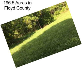 196.5 Acres in Floyd County