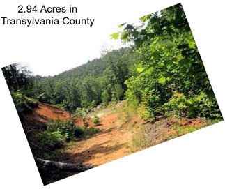 2.94 Acres in Transylvania County