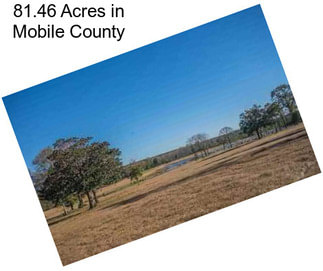 81.46 Acres in Mobile County