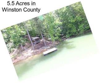 5.5 Acres in Winston County