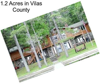 1.2 Acres in Vilas County