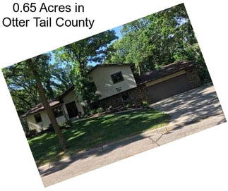 0.65 Acres in Otter Tail County