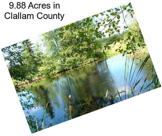 9.88 Acres in Clallam County