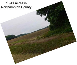 13.41 Acres in Northampton County
