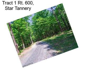 Tract 1 Rt. 600, Star Tannery