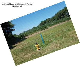 Universal Land and Livestock Parcel Number 35