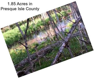 1.85 Acres in Presque Isle County