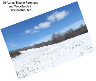 99 Acres Tillable Farmland and Woodlands in Cincinnatus, NY