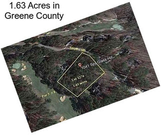 1.63 Acres in Greene County