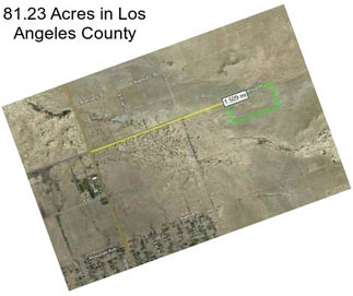 81.23 Acres in Los Angeles County