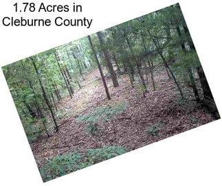 1.78 Acres in Cleburne County