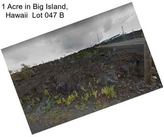 1 Acre in Big Island, Hawaii  Lot 047 B