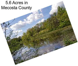 5.6 Acres in Mecosta County