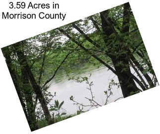 3.59 Acres in Morrison County
