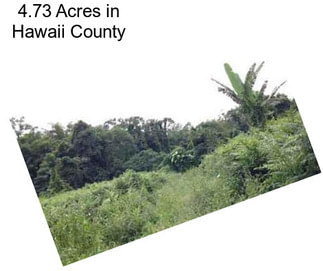 4.73 Acres in Hawaii County