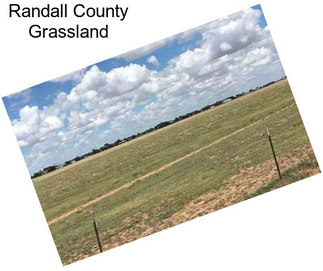 Randall County Grassland
