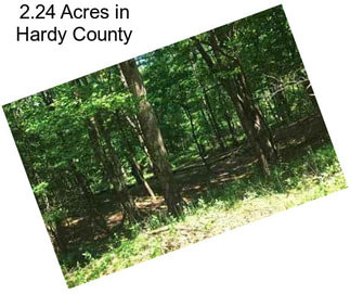 2.24 Acres in Hardy County