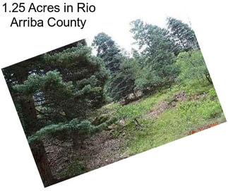 1.25 Acres in Rio Arriba County