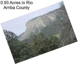 0.93 Acres in Rio Arriba County