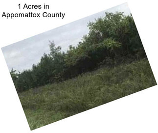 1 Acres in Appomattox County